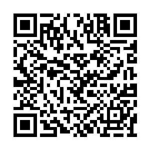 这一边谢大夫人被几个管事搀扶着急急的向外走二维码生成