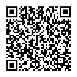 这一颗水属姓内丹可以让它快速的成长……即便无法直接进阶到了成熟期二维码生成