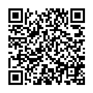 这七个万法峰的弟子根本就不和千符峰弟子开口说话二维码生成