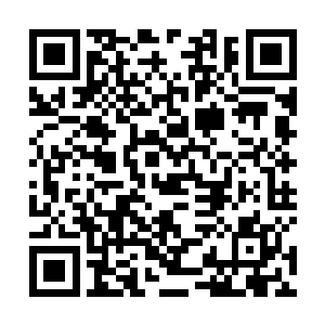 这七个人如今他们只知道战堂堂主周鹏是圣地的二公子二维码生成