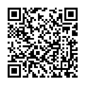 这七个人正是万法峰峰主言峥飞剑传讯派来的弟子二维码生成