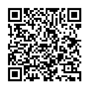 这七八个突然出现的荒古巨人并没有向他们攻击的打算二维码生成