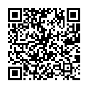 这七百亿的天文数字财富彻底打乱了他们的缘由节奏二维码生成