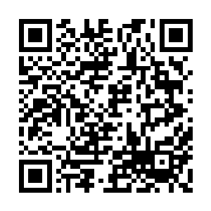 这七百多条黑水鱼的大头肯定要给圣堂南阳分部二维码生成