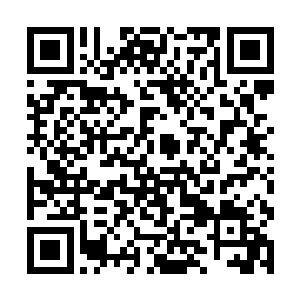 这万骨楼楼主似乎在突然之间受到了巨大的刺激似得二维码生成