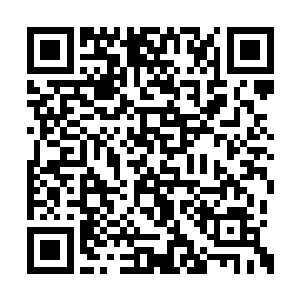 这三个上古家族都提前知晓了自己要去攻打他们二维码生成