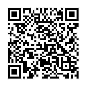 这三个人加在一起苏凡还真想不出来有谁能跟他们对抗二维码生成