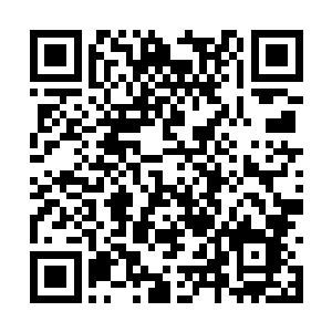 这三个字是形容莫家姐弟母亲状况的最贴切的说法二维码生成