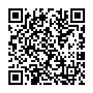 这三个货到了空间里的第六天的时候就开始吃草了二维码生成