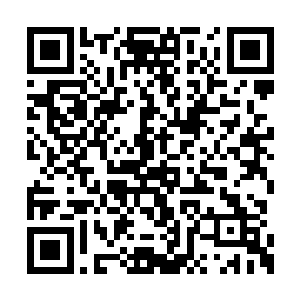 这三丸精心打造的海王丹一下子就入了他的法眼二维码生成