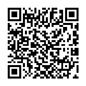 这三人不管是天赋还是实力在当时那一届都非常强大二维码生成