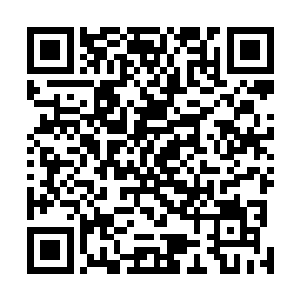 这三十六洞天福地剩下的三位尊者就会在一旁束手旁观吗二维码生成