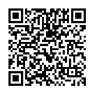 这三十只拨金鼠在林烽的控制之下身子都开始不断的颤抖了起来二维码生成