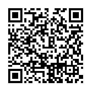 这三名本源境界强者的强者原本是圣殿的掌权人二维码生成