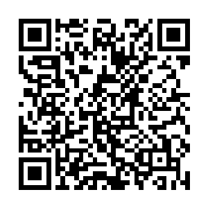这三块黑色岩石表面上看和普通岩石没有什么不同啊二维码生成