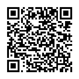 这三头巨兽给杨风的感觉就是比时日天弱上一些二维码生成