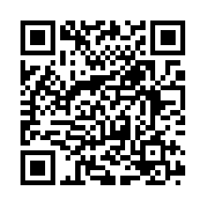 这上面如今还挂着一枚枯果未曾来得及成熟呢二维码生成