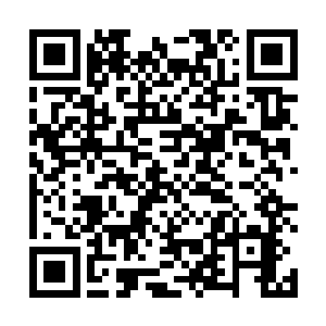 这上面是菜五给他记载当时在场每一个人的长相和资料二维码生成