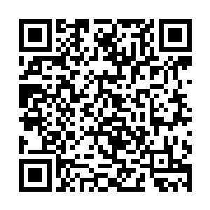 这上面的内容和先前远征军发来的军令没有太大出入二维码生成