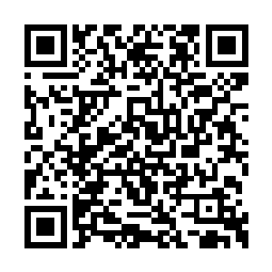 这下一定要让妞妞妹妹知道我比土包子姐夫厉害二维码生成