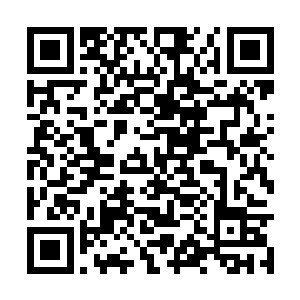 这下两位还有犹豫不决的域主也不用再犹豫什么了二维码生成