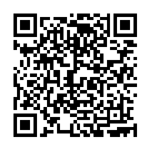这下他知道为什么书店之中这些最基本的典籍始终如此畅销二维码生成