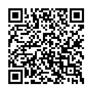 这下位面每一个星域都是从祖域之中分离出去的二维码生成