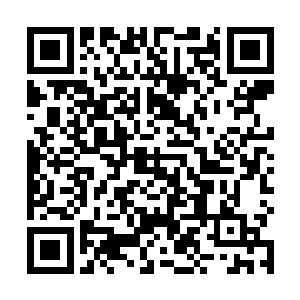 这下位面每一个星域都要炼化……都要融合进祖域之中二维码生成