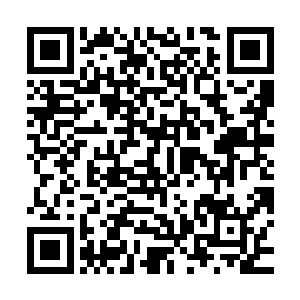 这下你知道为什么你告诉我见到了生化人之后我会那么震惊了吧二维码生成