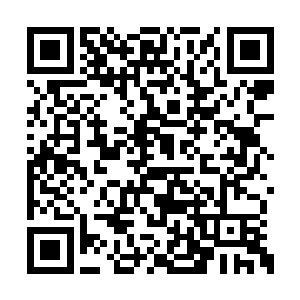 这下她口中的幂幂和诗诗两女总算知道为什么了二维码生成