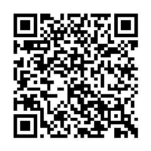 这下子成名人了啊……以后出门都得乔装打扮了二维码生成