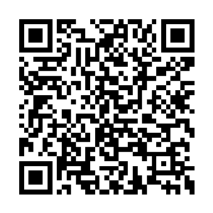 这下子让之前信心满满的刘金辉也不禁摇头不已二维码生成