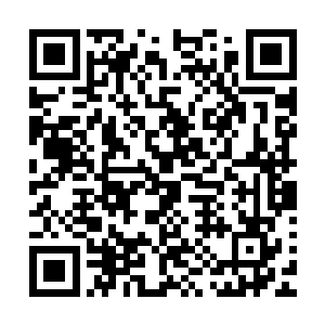 这下子黎未未就一点儿睡意都没有了立刻在整个家里找了一遍二维码生成