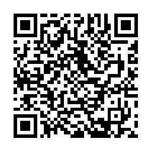 这下知道为什么我们一见她们就屁颠屁颠的上前开门了吧二维码生成