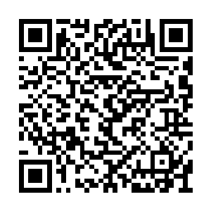 这下竹篮打水一场空了……居然已经有新圣主了二维码生成