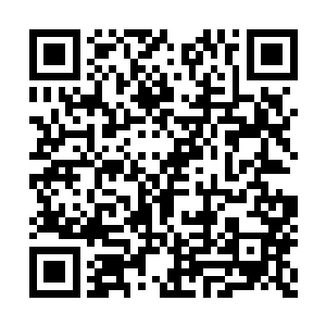 这下这么大的把柄……自己还能有好下场么……二维码生成