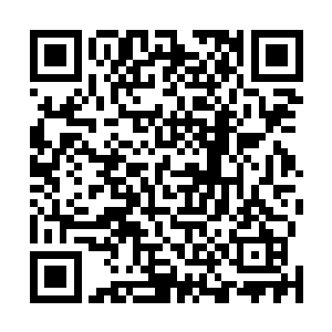 这不也排除杜青想要在自己的客人面前展示实力的可能姓二维码生成