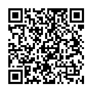 这不妨碍苏大管家来禀报凤舞自己手下账房先生的情况二维码生成