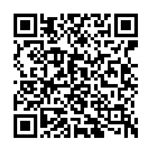这不就是一开始林烽展开的那一面玄元控水旗么二维码生成