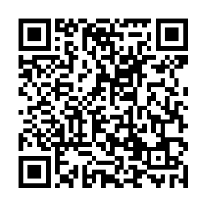 这不就是我们五脉将仙道与人道贯通桥梁的意义所在二维码生成