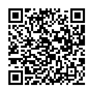 这不就是等于说他花了五千万去买了一堆石头吗二维码生成