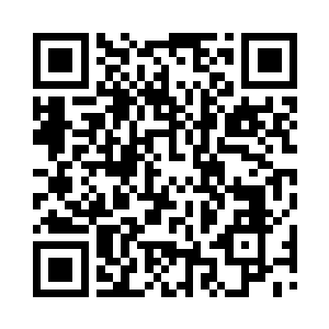 这不应该是意识被完全控制的傀儡所拥有的二维码生成