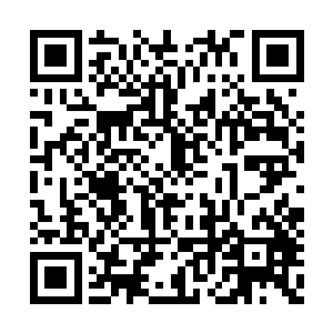 这不意味着杨家已经正式承认自己这个女婿了吗二维码生成