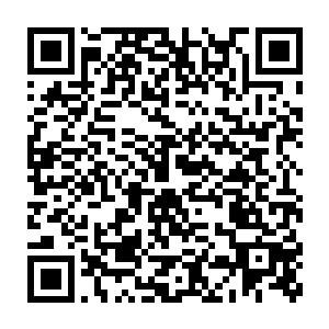 这不是他的一时兴起……在看到厨房里的食物之后花久久如是想到二维码生成