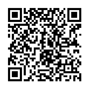 这不是可以在池早早这样的蛇蝎美人眼里可以看到的二维码生成