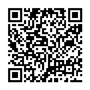 这不是当初那位一拳打的太古红龙跌进海里的精灵武圣嘛二维码生成