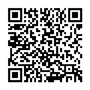 这不是极有可能背后有着萧藤影子的那个帮会么二维码生成