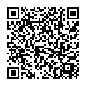 这不是真的……这一切都不是真实的……这一切都是幻象而已……二维码生成