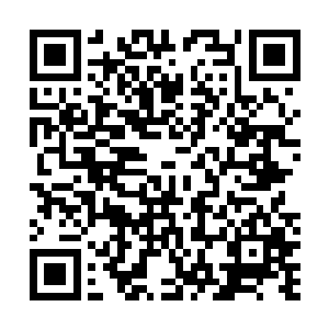 这不是秦宇要对裘师傅和杨师傅隐瞒万人碑的最重要原因二维码生成