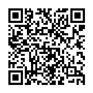 这不是说薄荷的换药技术比经过专业训练的护士更专业二维码生成